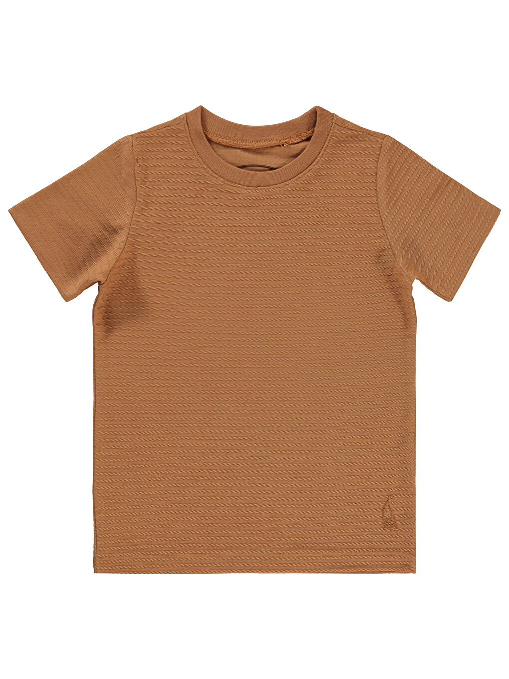 Kahverengi Boys Erkek Çocuk Tişört 2-5 Yaş Tarçın