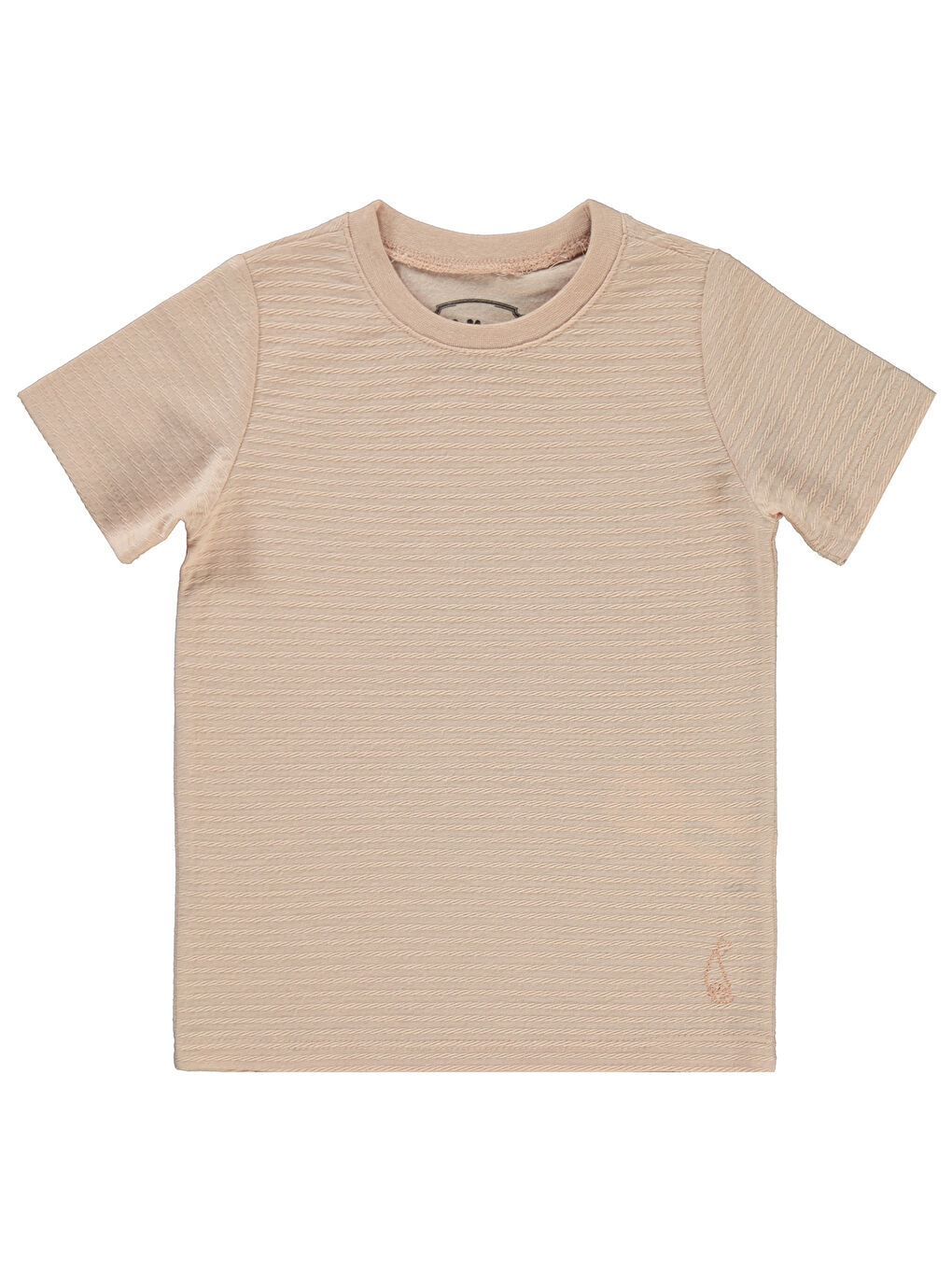 Pembe Boys Erkek Çocuk Tişört 2-5 Yaş Somon