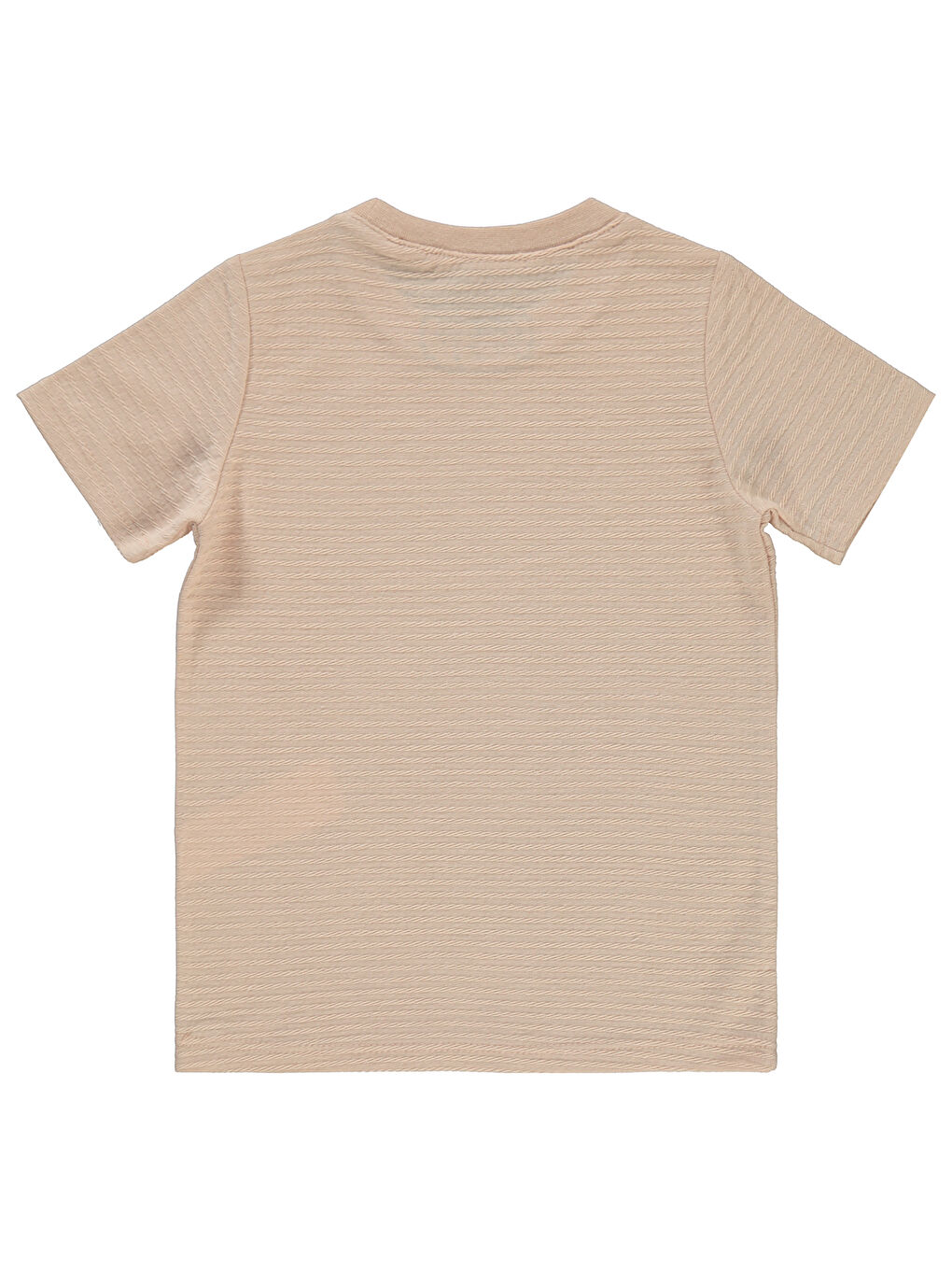 Pembe Boys Erkek Çocuk Tişört 2-5 Yaş Somon-1