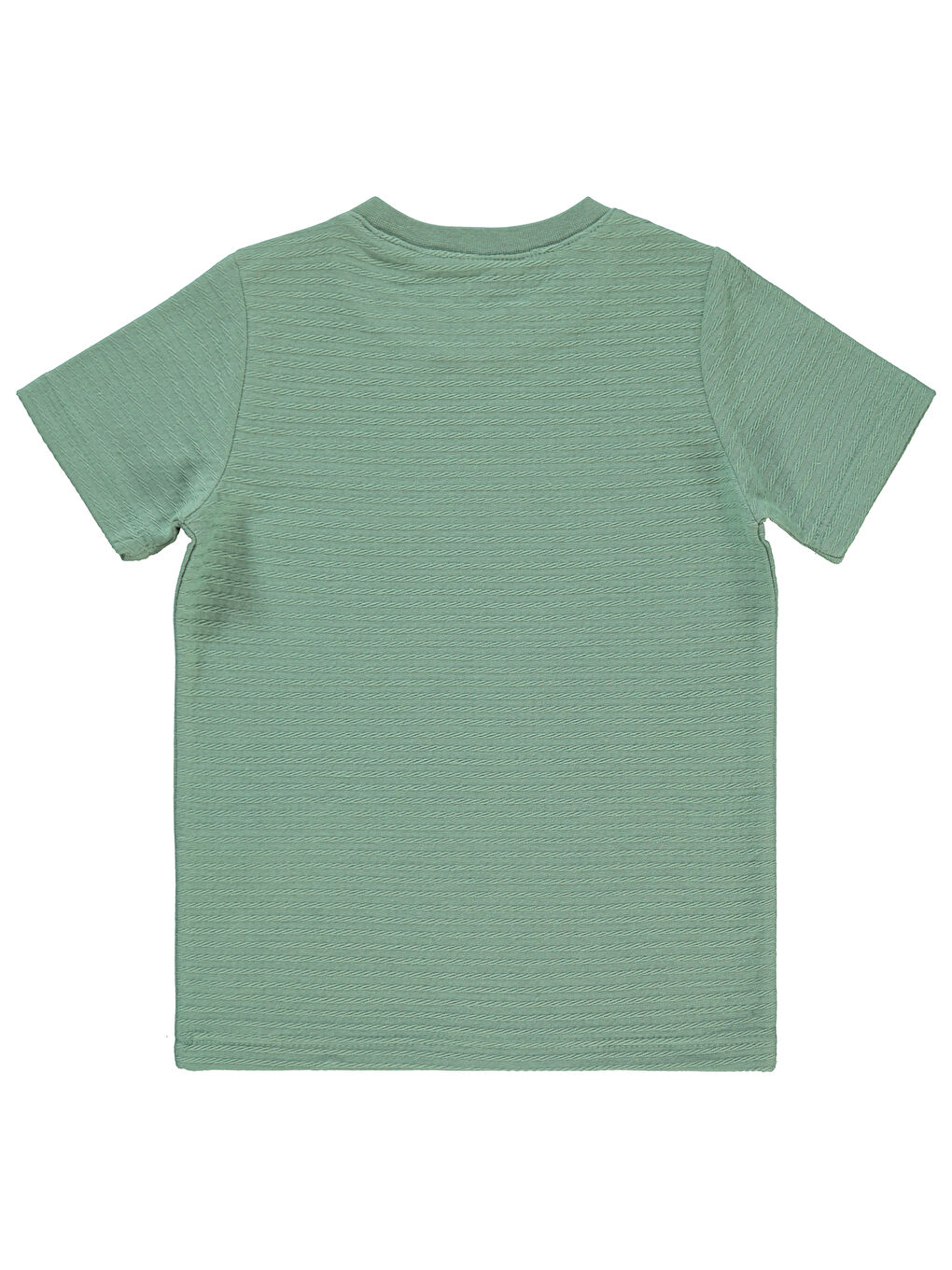 Boys Erkek Çocuk Tişört 2-5 Yaş Soft Haki-1