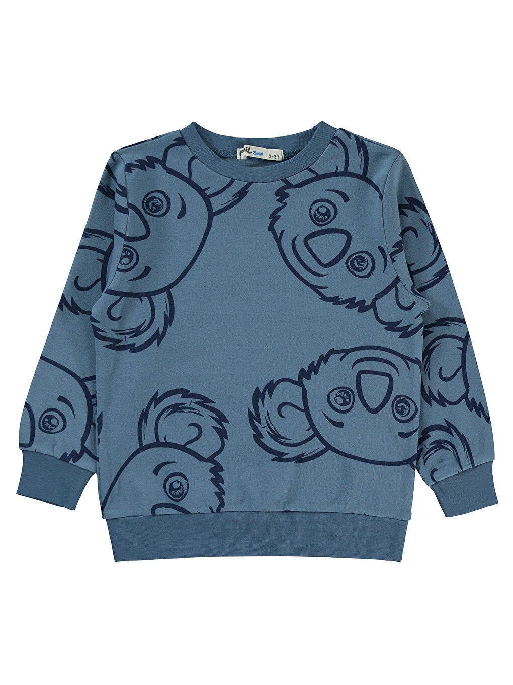 Boys Erkek Çocuk Sweatshirt 2-5 Yaş İndigo