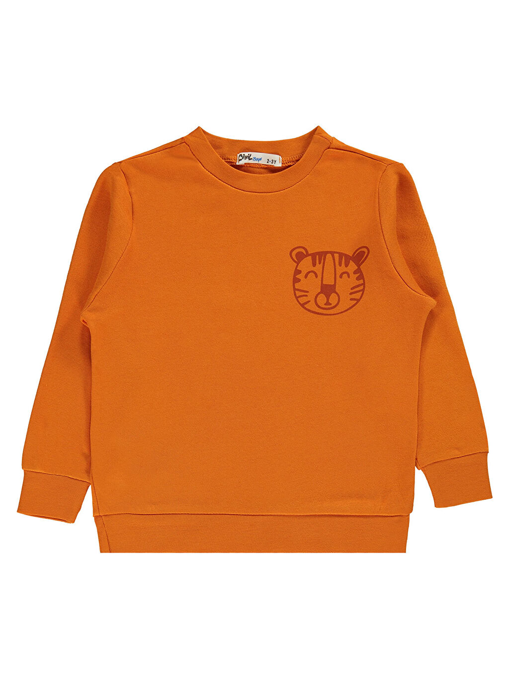 Turuncu Boys Erkek Çocuk Sweatshirt 2-5 Yaş Koyu Oranj