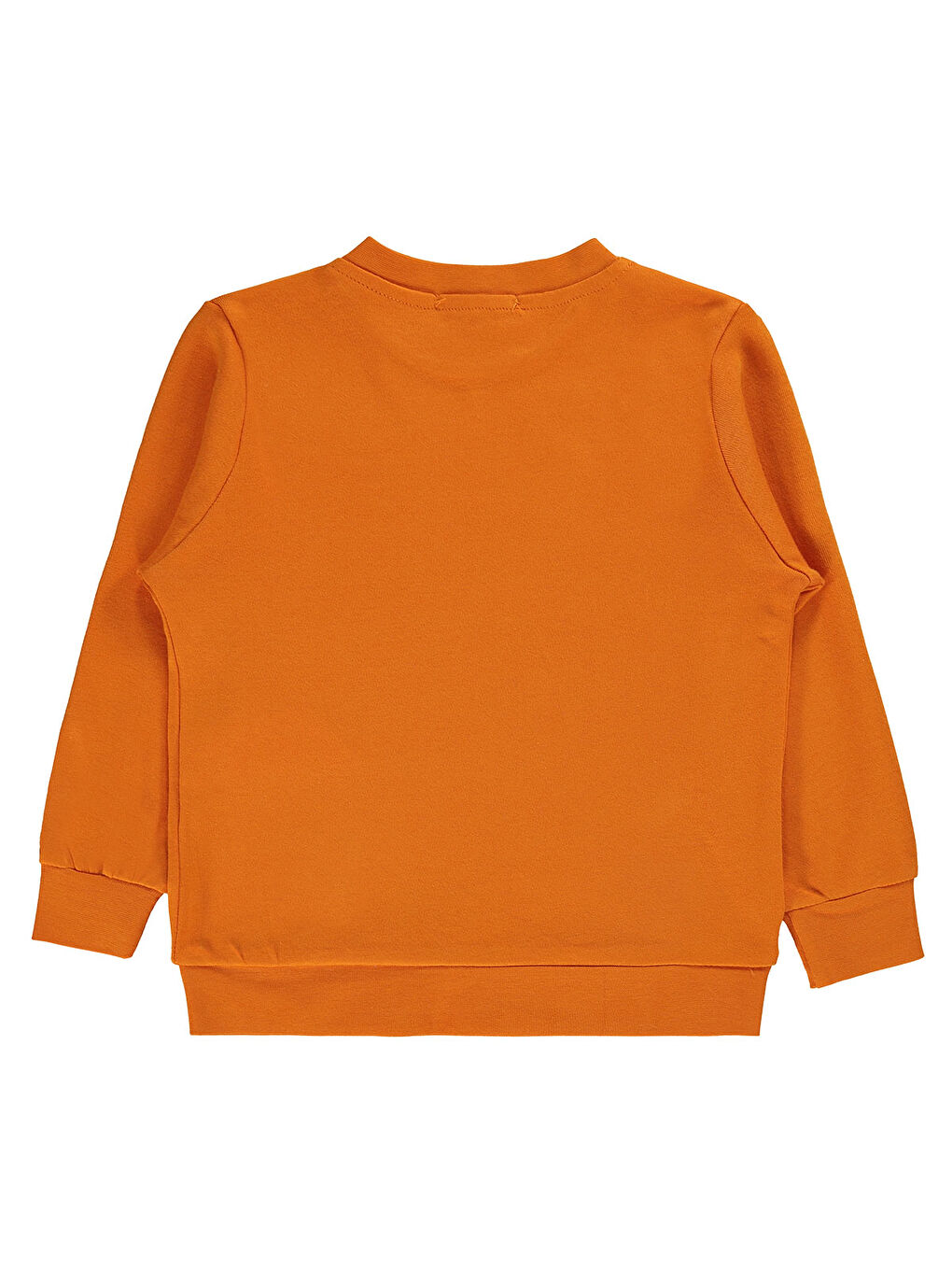 Turuncu Boys Erkek Çocuk Sweatshirt 2-5 Yaş Koyu Oranj-1