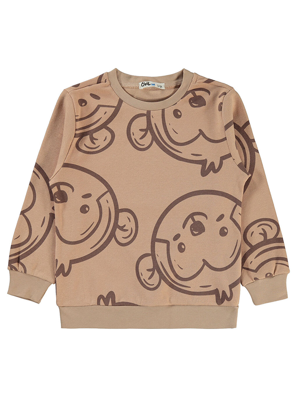 Bej Boys Erkek Çocuk Sweatshirt 2-5 Yaş Vizon