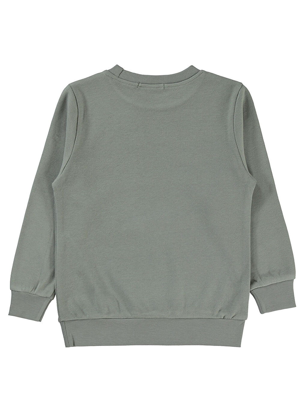 Boys Erkek Çocuk Sweatshirt 2-5 Yaş Gri-1