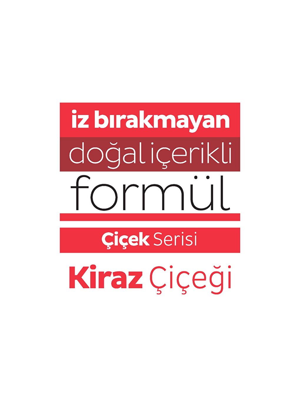 Easy Clean Kiraz Çiçeği Yüzey Temizlik Havlusu&Mendili 3x100 (300 Yaprak)-3