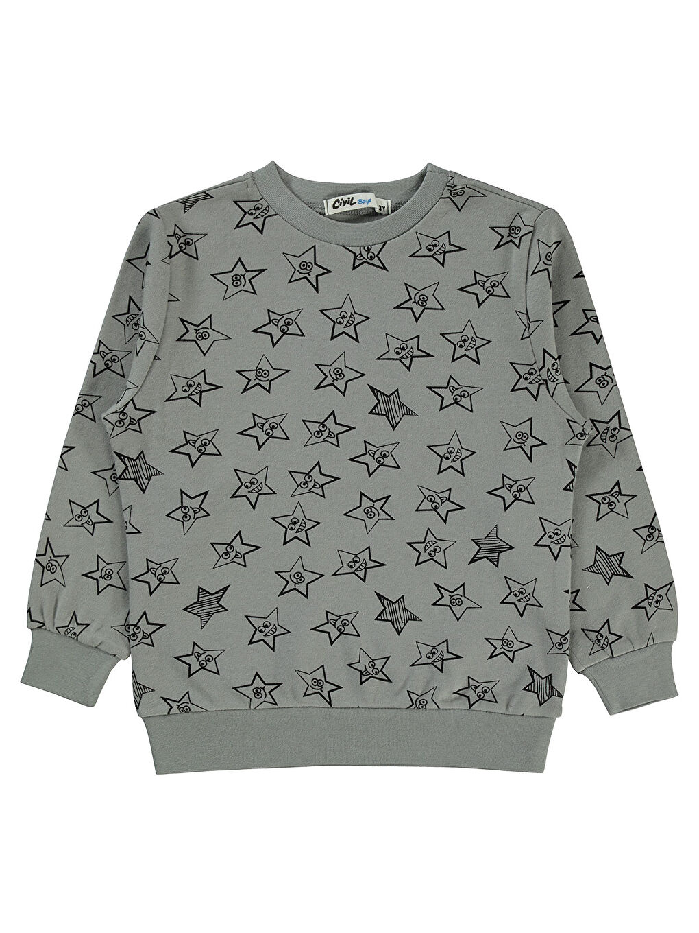 Boys Erkek Çocuk Sweatshirt 2-5 Yaş Gri