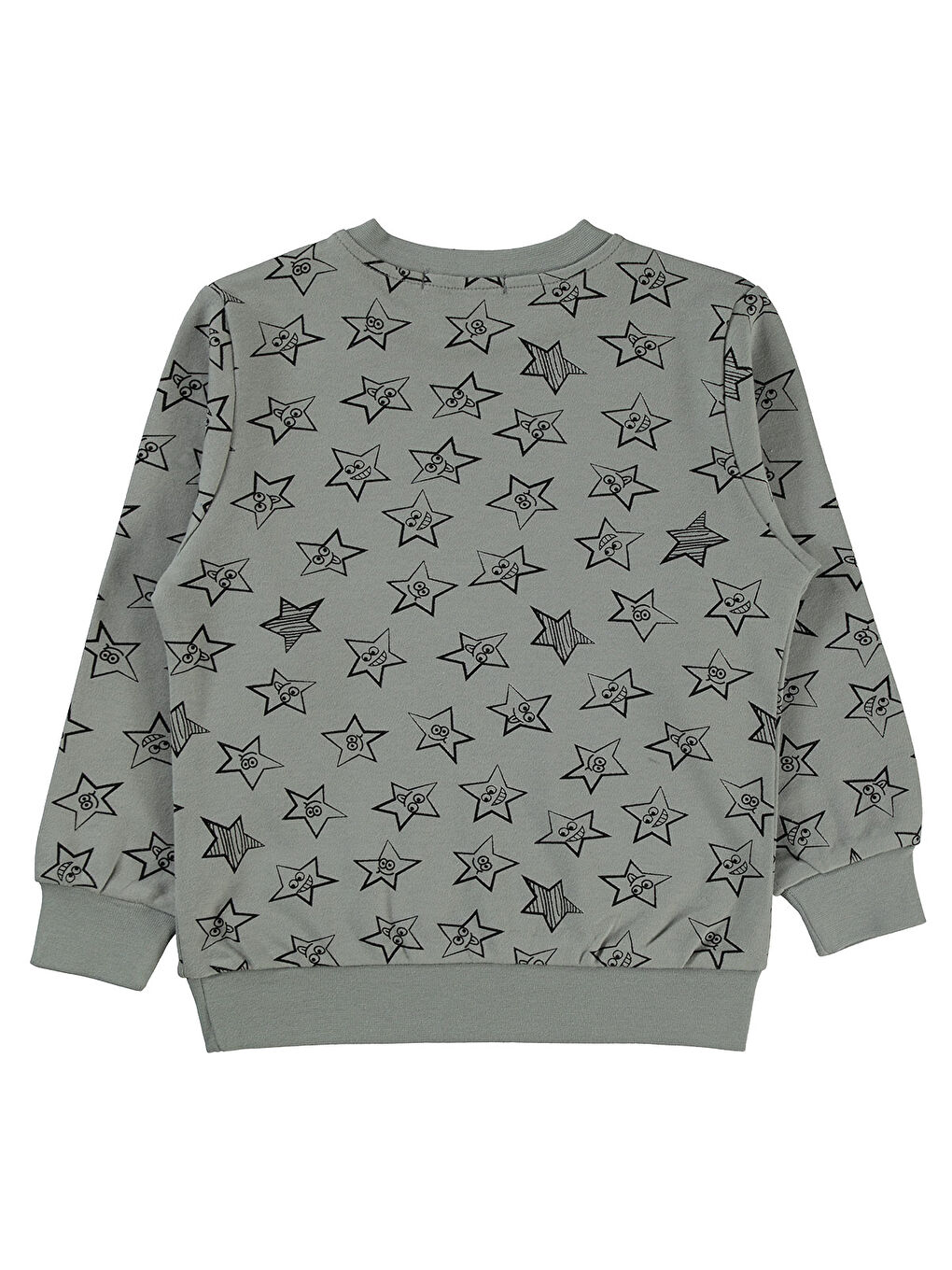 Boys Erkek Çocuk Sweatshirt 2-5 Yaş Gri-1