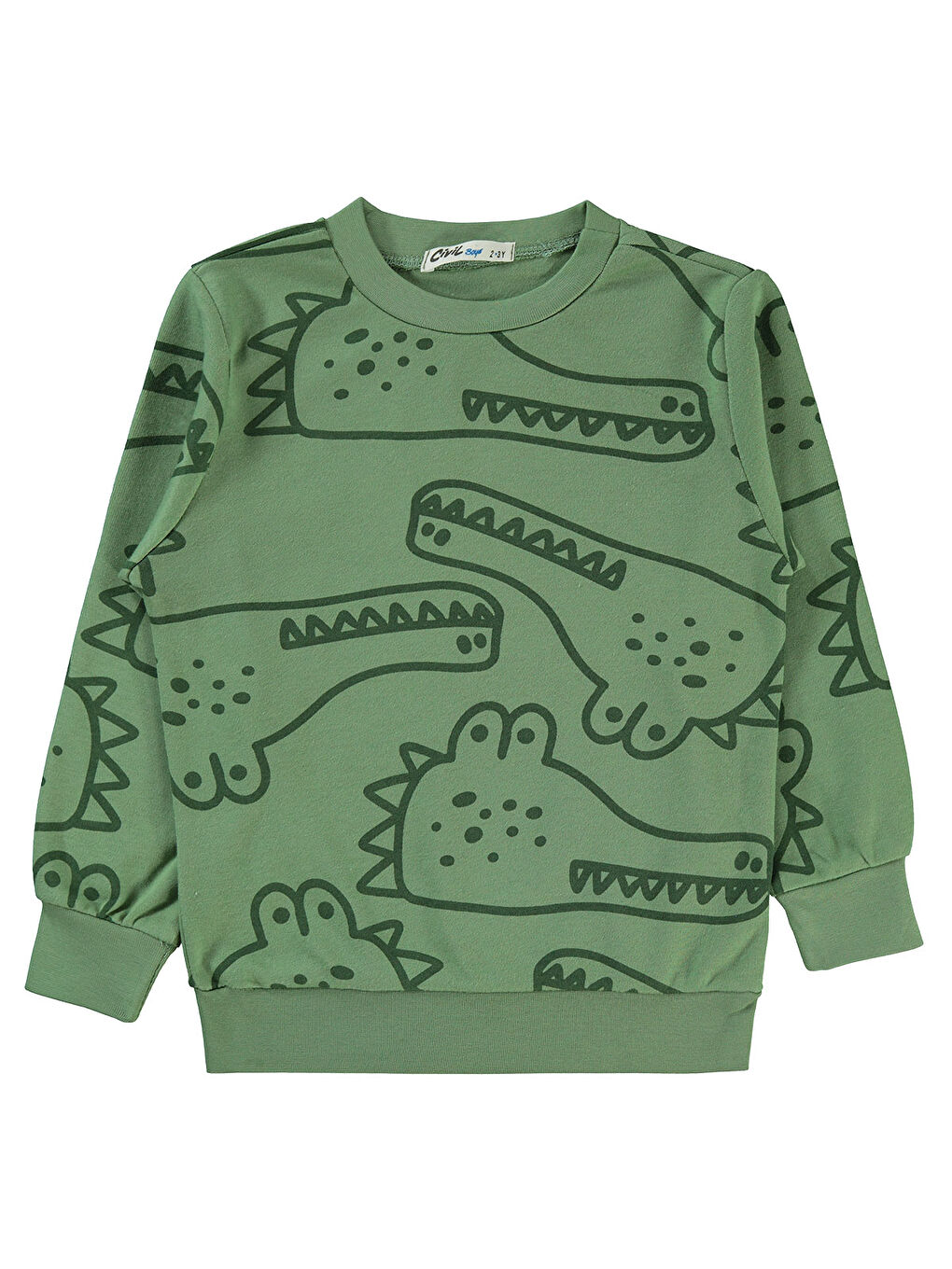 Boys Erkek Çocuk Sweatshirt 2-5 Yaş Açık Haki