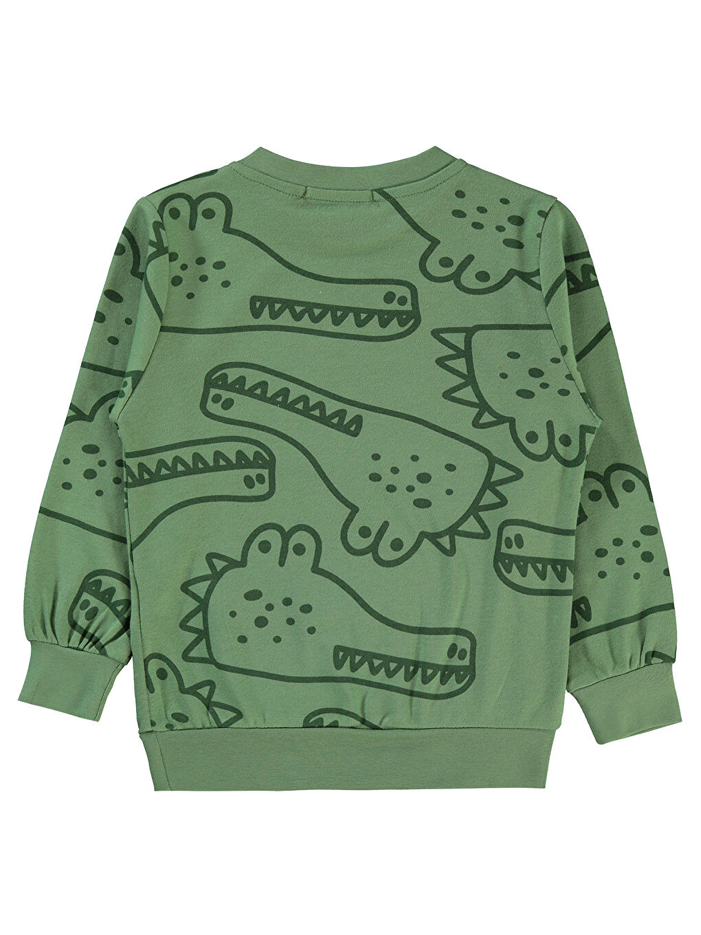 Boys Erkek Çocuk Sweatshirt 2-5 Yaş Açık Haki-1