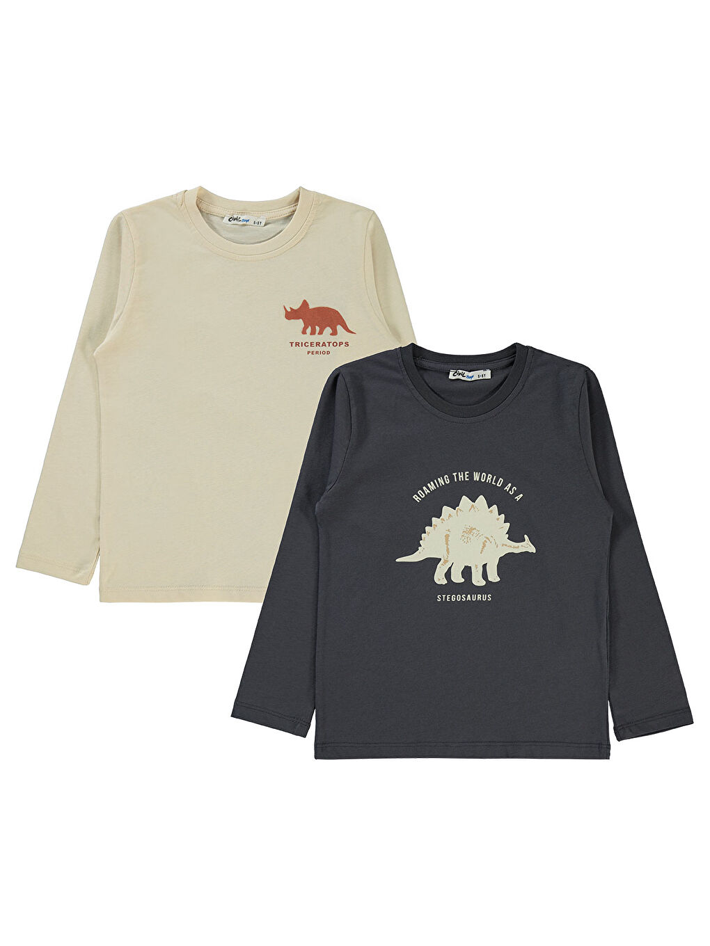 Boys Erkek Çocuk 2'li Sweatshirt 5-13 Yaş Antrasit