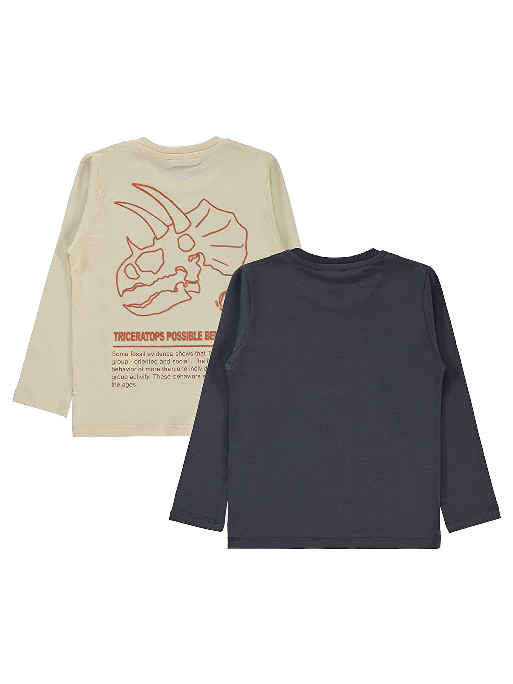 Boys Erkek Çocuk 2'li Sweatshirt 5-13 Yaş Antrasit-1