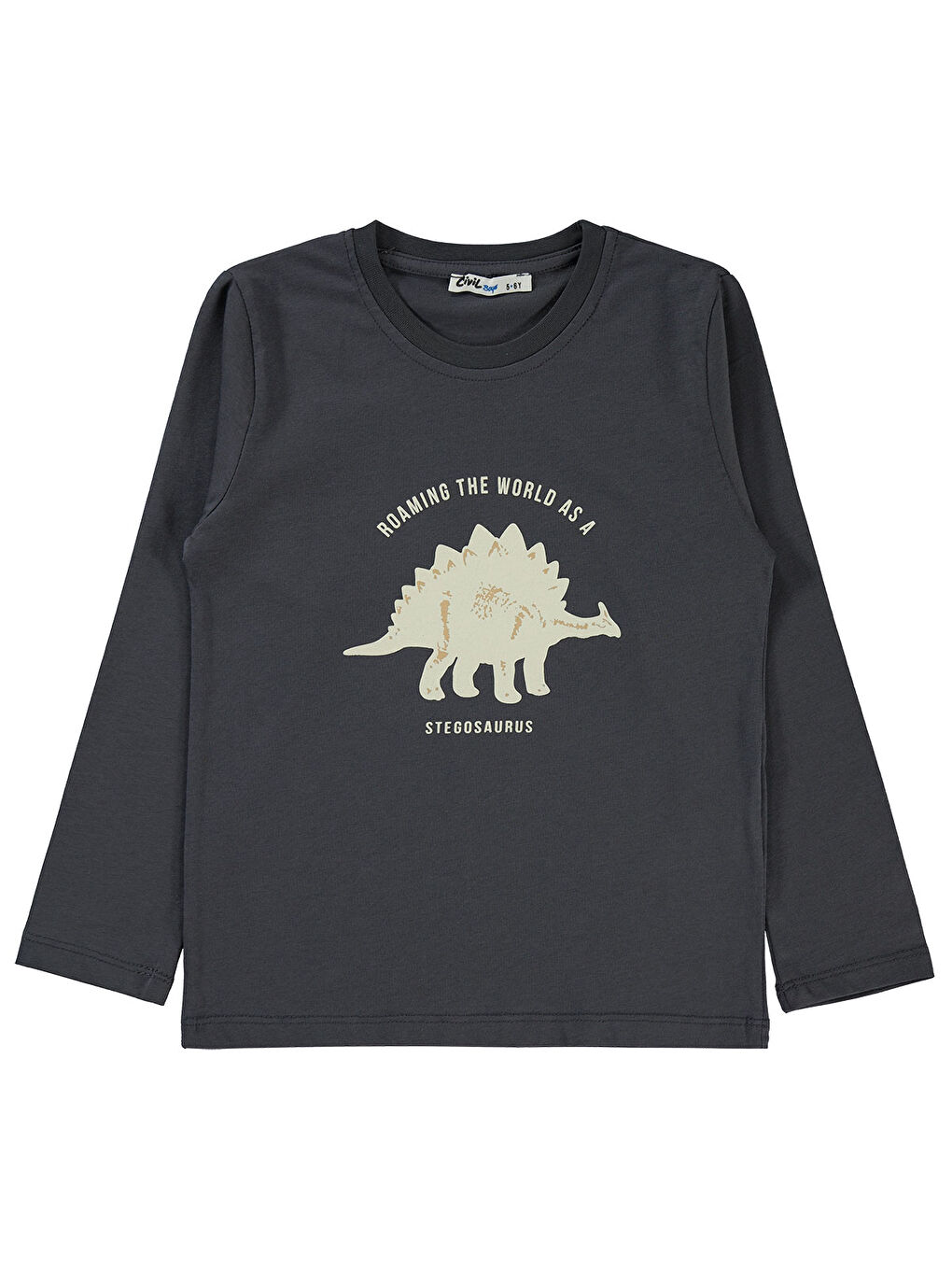 Boys Erkek Çocuk 2'li Sweatshirt 5-13 Yaş Antrasit-3