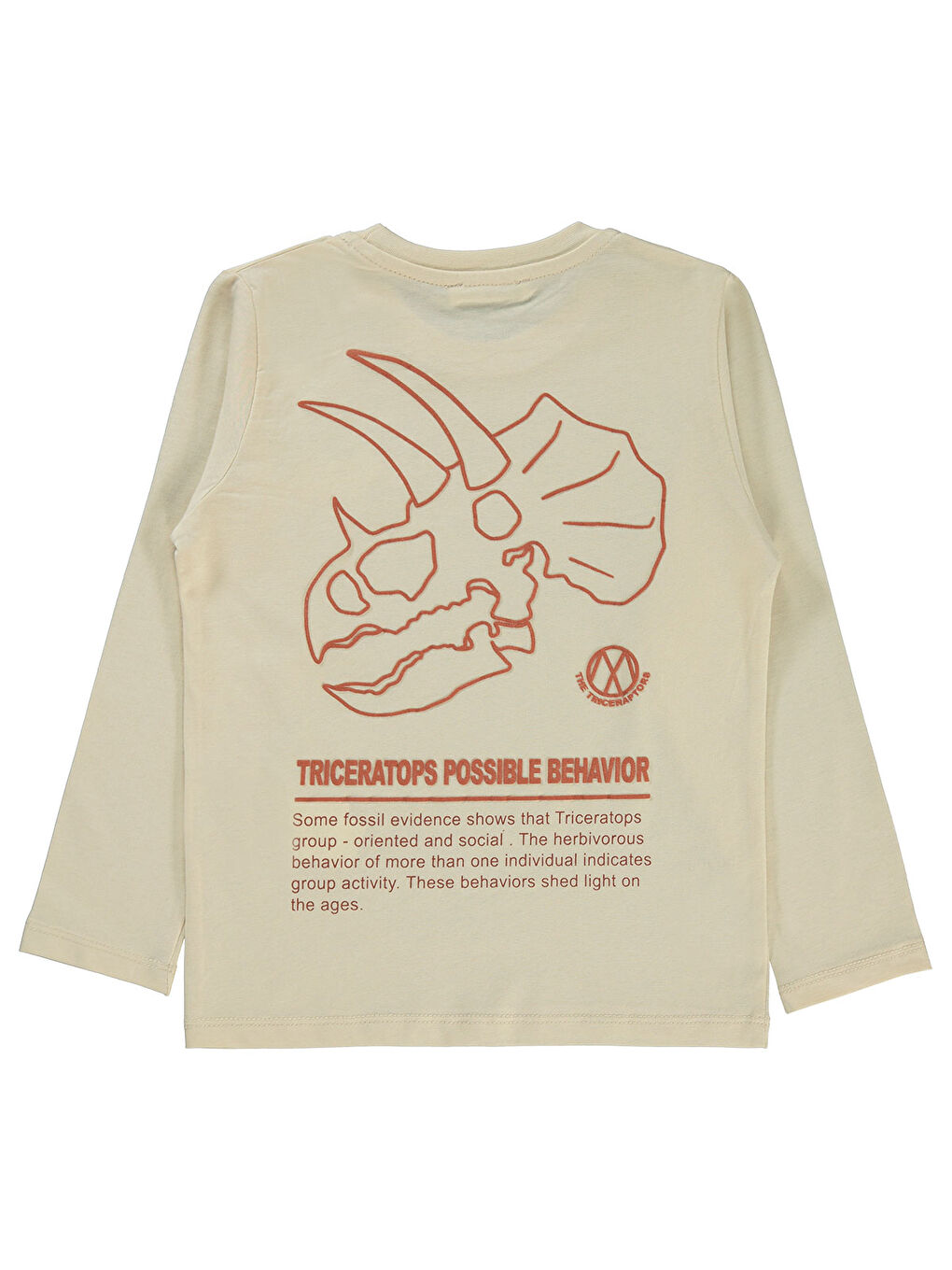 Boys Erkek Çocuk 2'li Sweatshirt 5-13 Yaş Antrasit-4