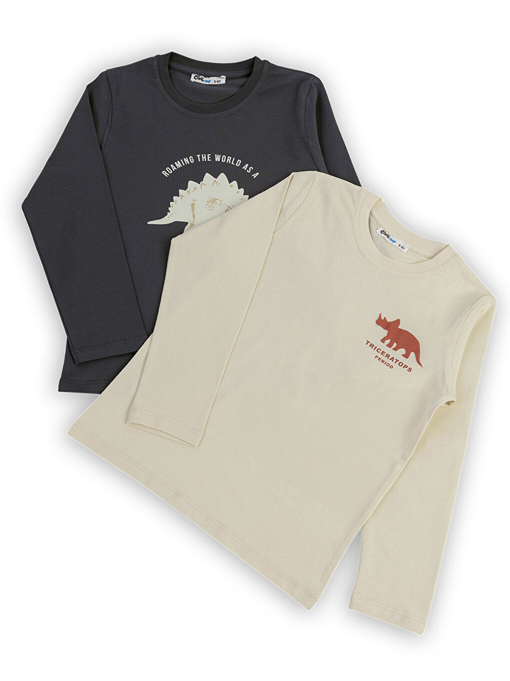 Boys Erkek Çocuk 2'li Sweatshirt 5-13 Yaş Antrasit-5