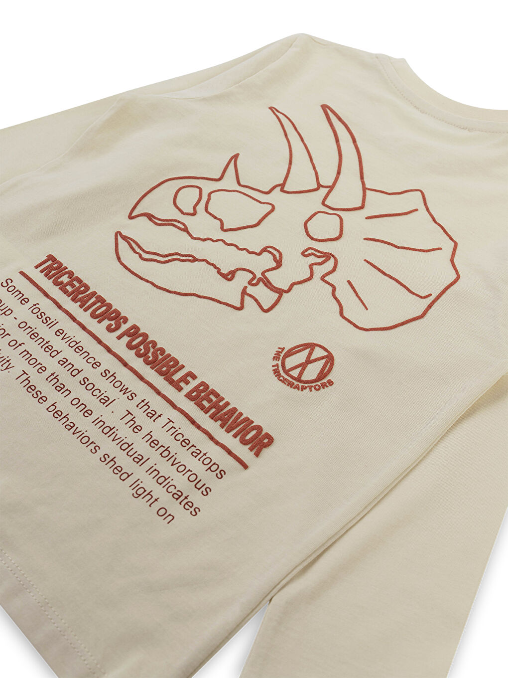 Boys Erkek Çocuk 2'li Sweatshirt 5-13 Yaş Antrasit-6