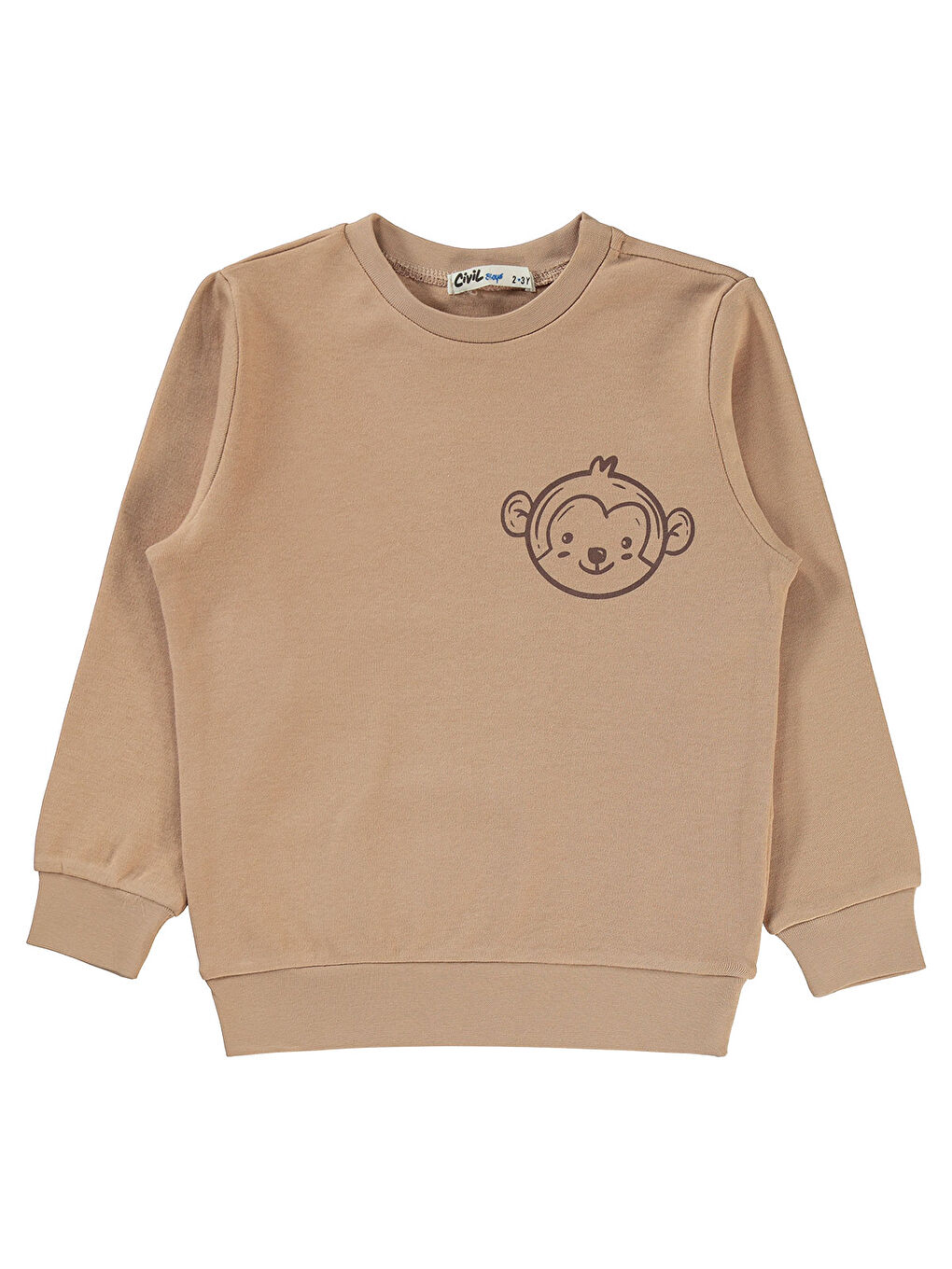 Bej Boys Erkek Çocuk Sweatshirt 2-5 Yaş Vizon