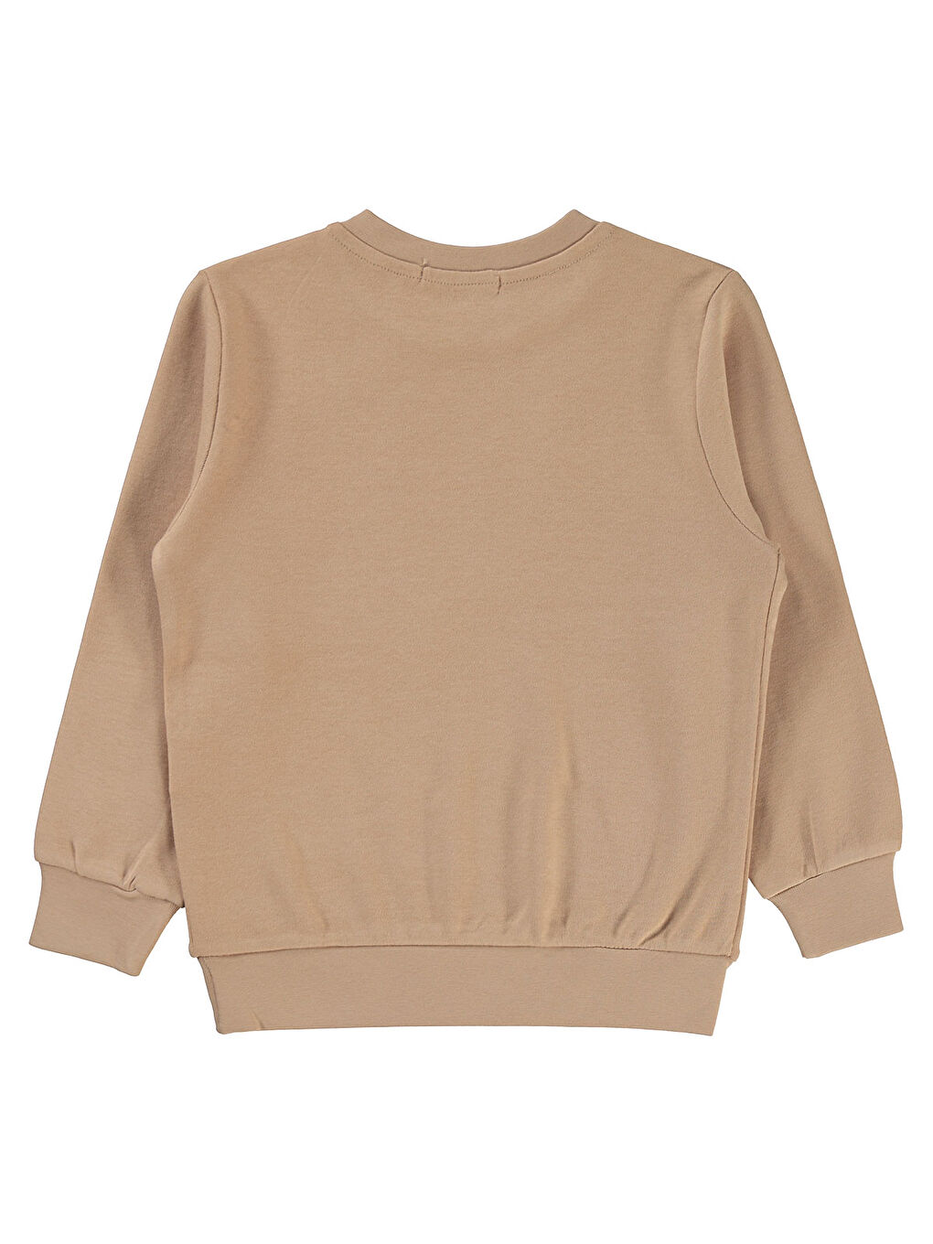 Bej Boys Erkek Çocuk Sweatshirt 2-5 Yaş Vizon-1