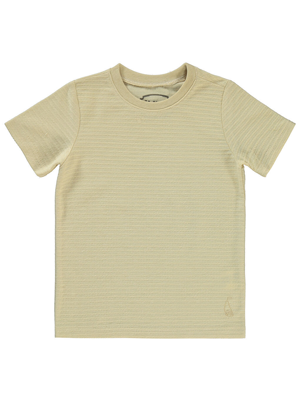 Bej Boys Erkek Çocuk Tişört 2-5 Yaş Taş Rengi