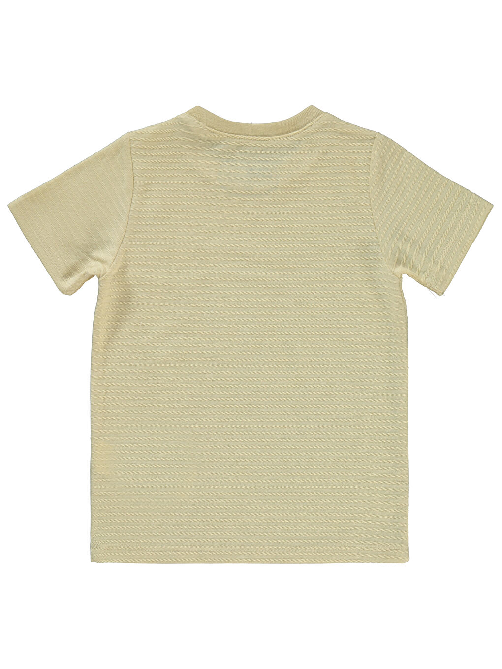 Bej Boys Erkek Çocuk Tişört 2-5 Yaş Taş Rengi-1