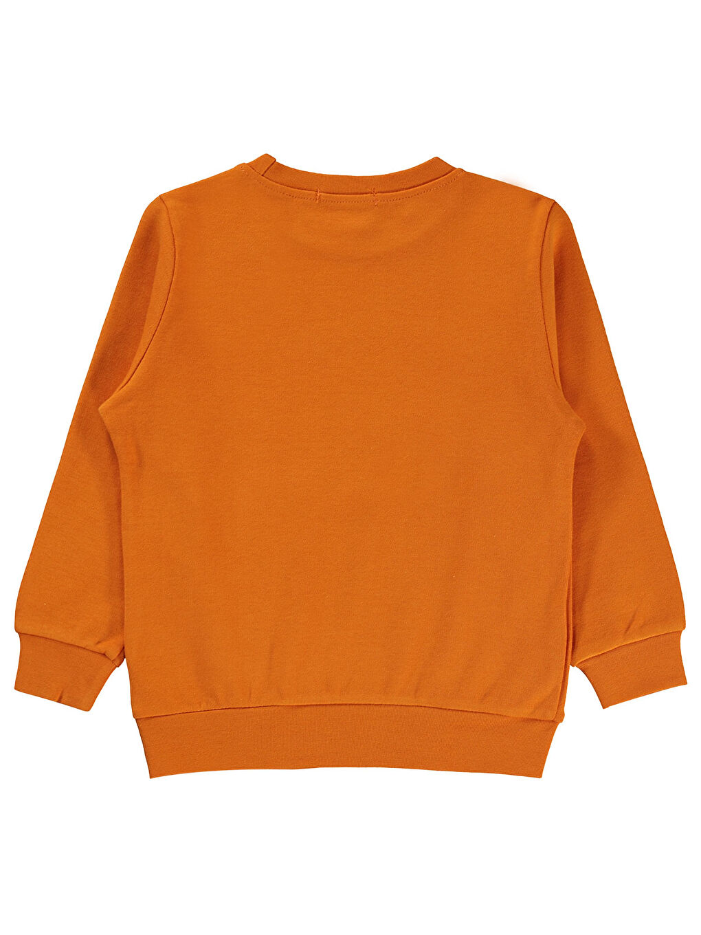 Turuncu Boys Erkek Çocuk Sweatshirt 2-5 Yaş Koyu Oranj-1