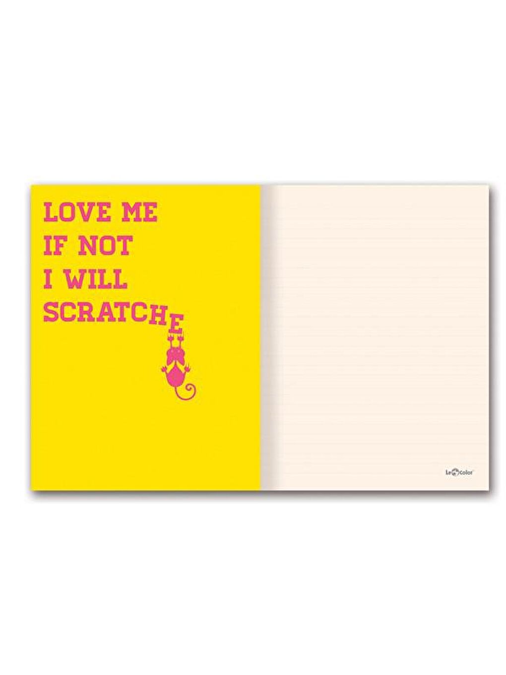 Pretty Mini Defter Çizgili Kedili-1