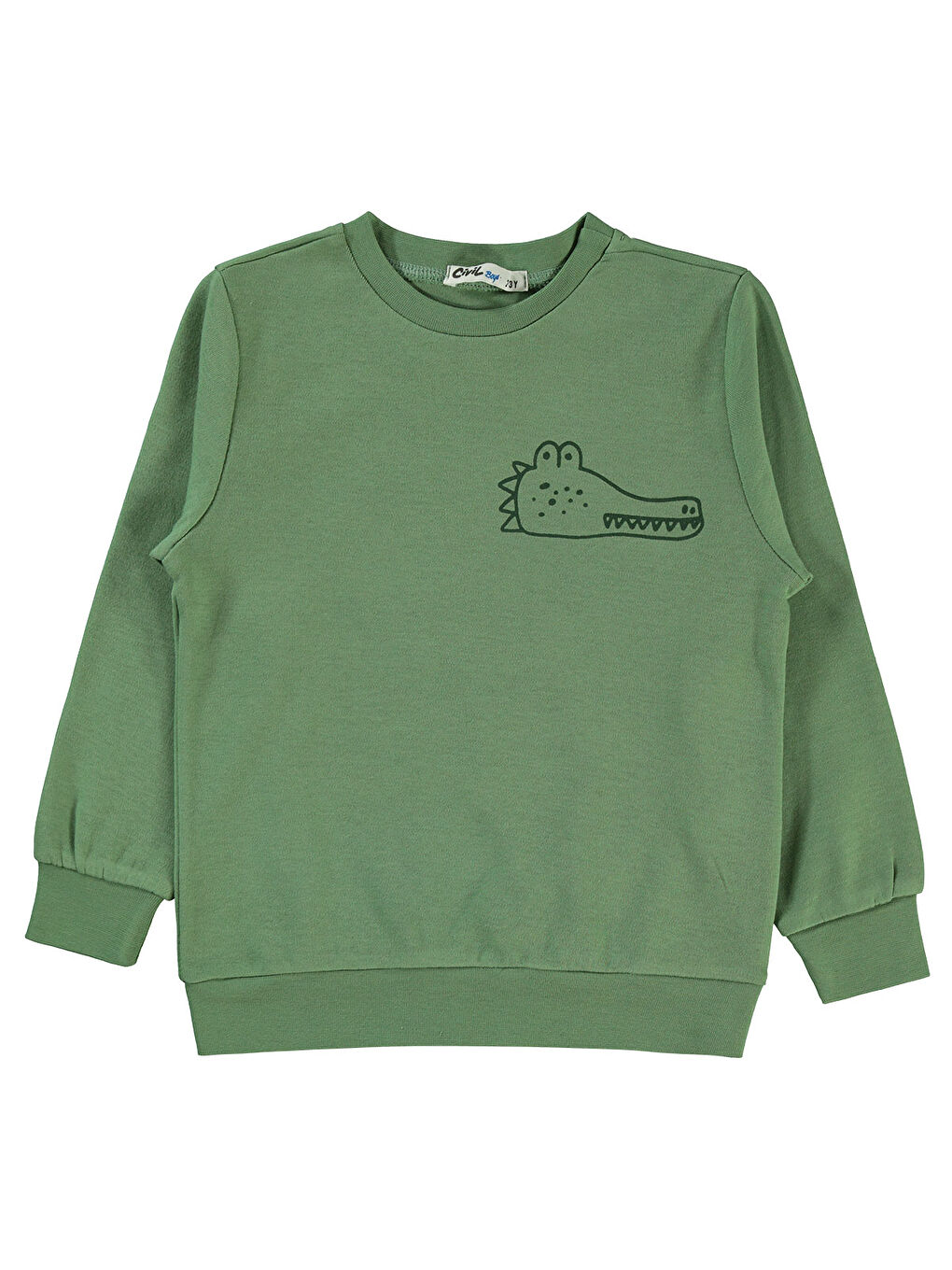Boys Erkek Çocuk Sweatshirt 2-5 Yaş Açık Haki