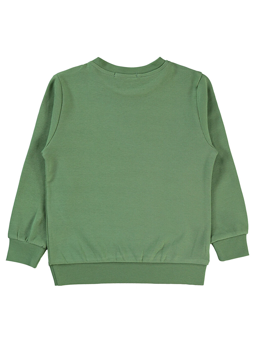 Boys Erkek Çocuk Sweatshirt 2-5 Yaş Açık Haki-1