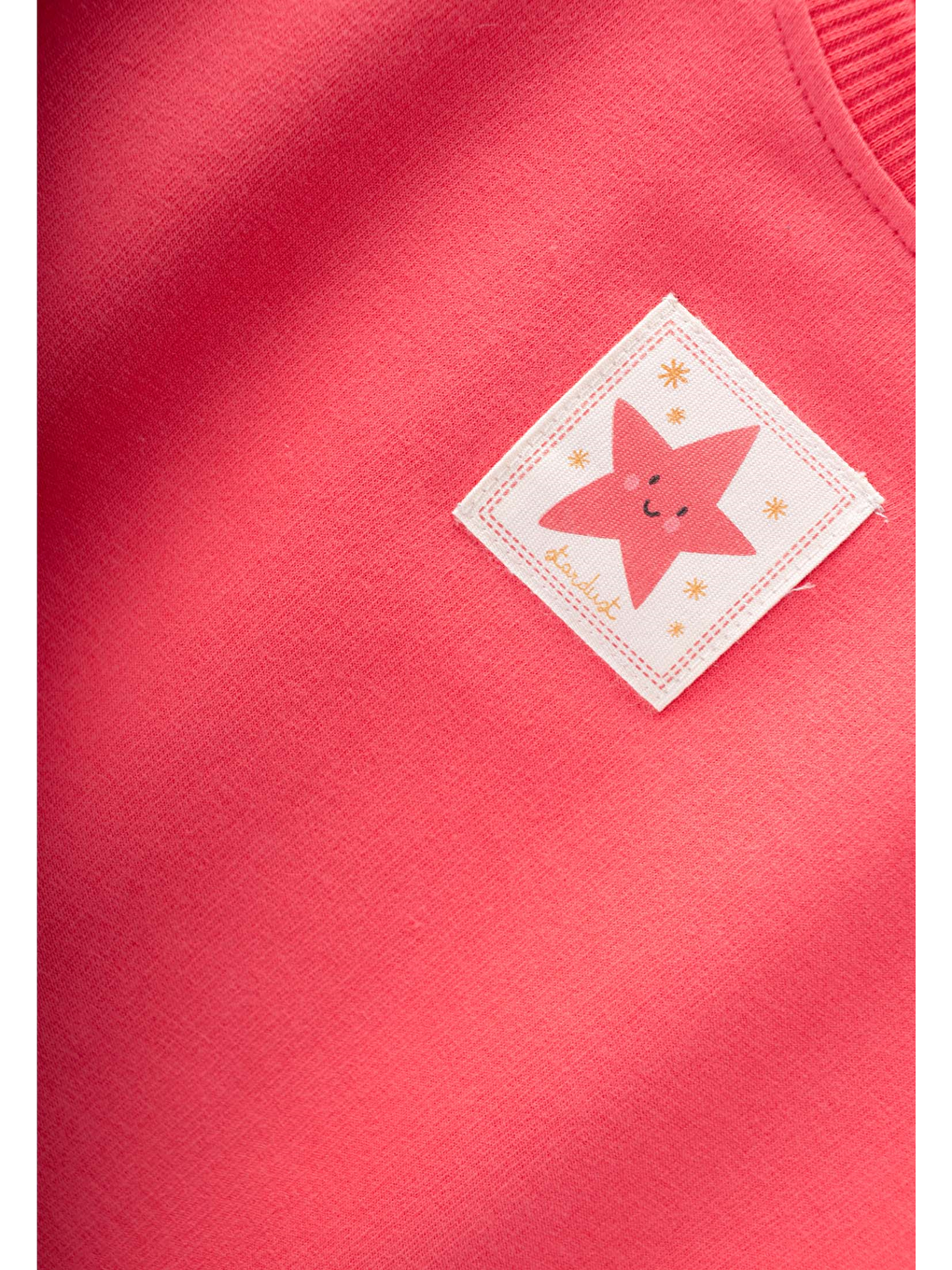 Etiket Detaylı Sweatshirt Takım 1-7 Yaş Mercan-2