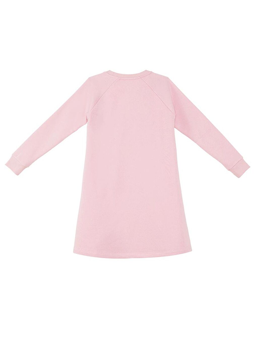 Denokids Pembe Uğur Böceği Çiçekler Kız Çocuk Elbise - 3