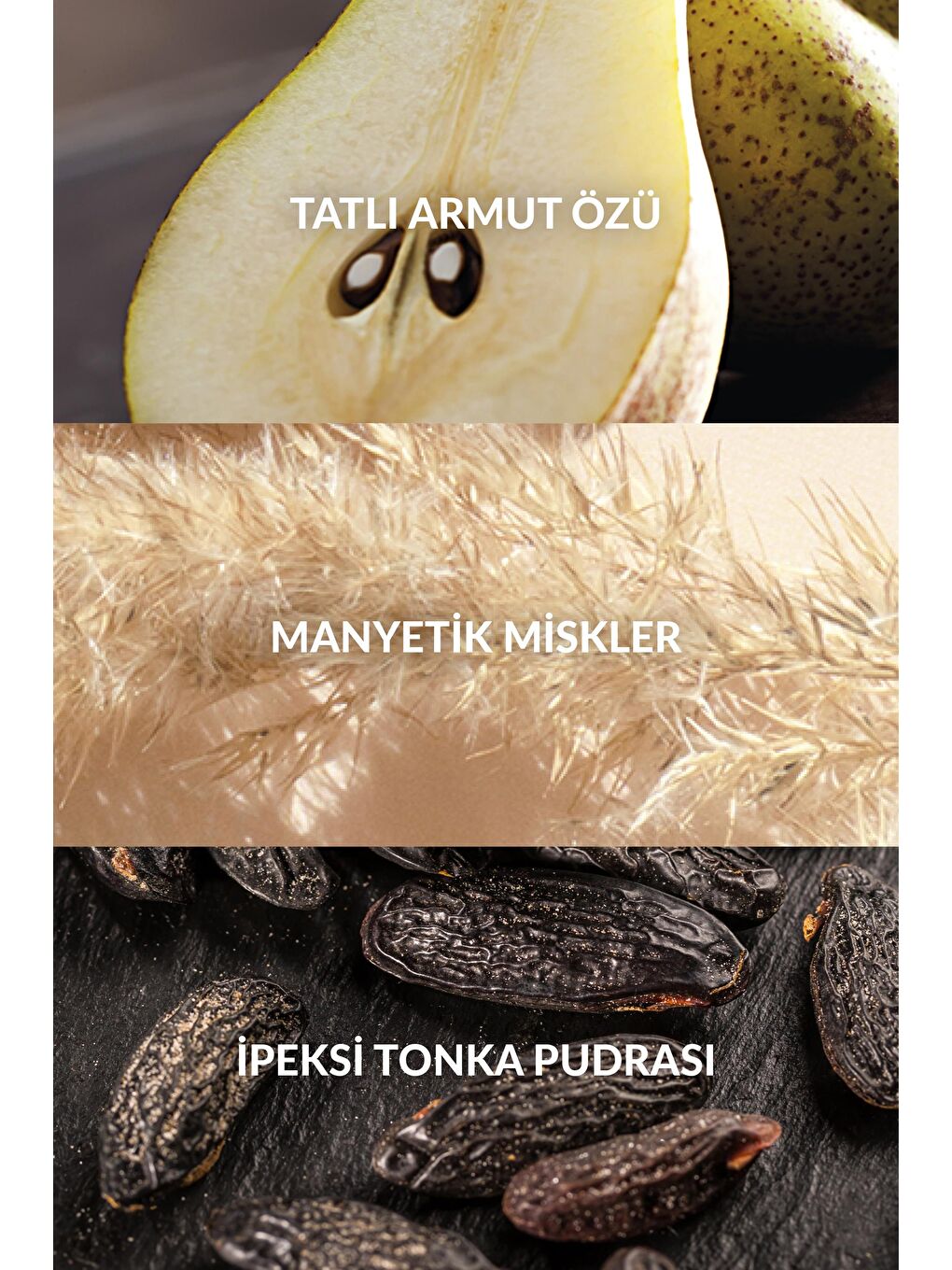 Attraction Kadın Parfüm 50 + 30 Ml Toplam 80 Ml Set-3