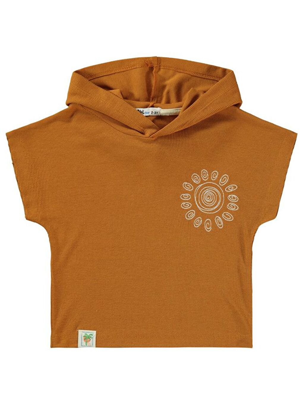 Kahverengi Boys Yarasa Kol Kapüşonlu 2-5 Yaş Takım - Turuncu2-3 Yaş-2