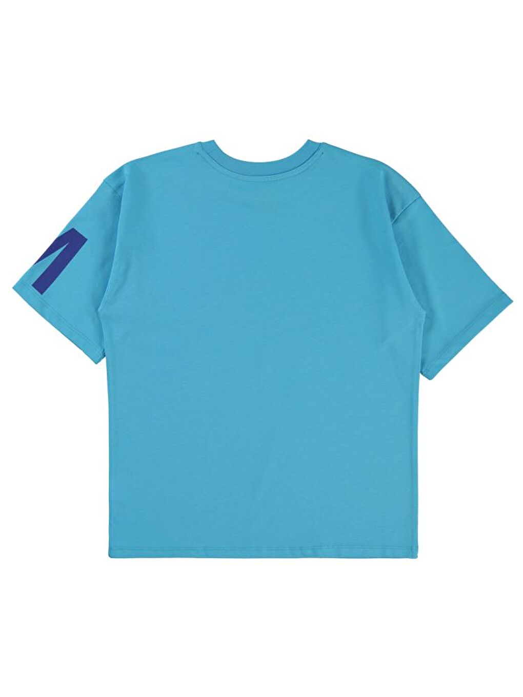Turkuaz Boys Stadıum Baskılı 10-13 Yaş Tişört - Mavi11-12 Yaş-2