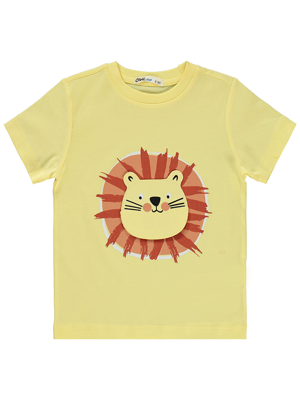 Boys Erkek Çocuk Takımı 2-5 Yaş Açık Sarı-2