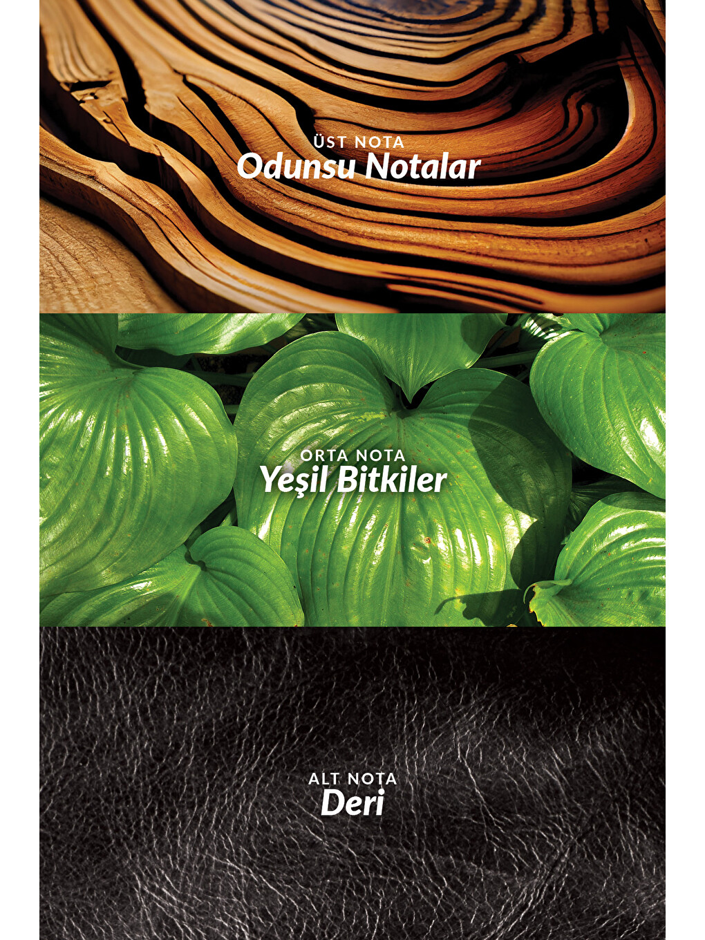 Black Suede Erkek Parfüm Edt 75 Ml. Üçlü Set-2