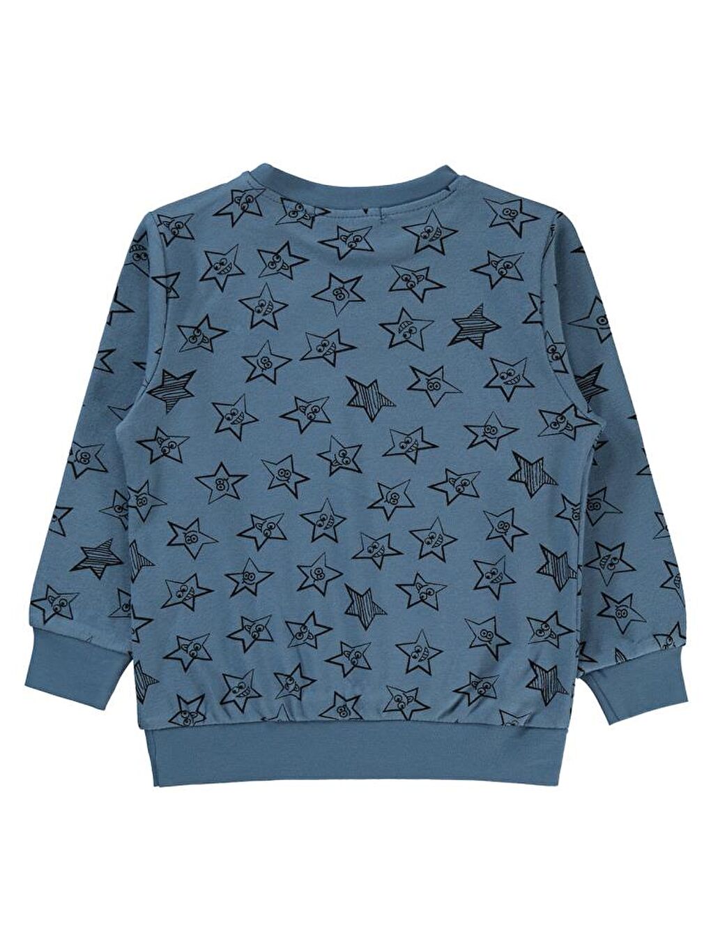 İndigo Boys Erkek Çocuk Sweatshirt 2-5 Yaş İndigo-1