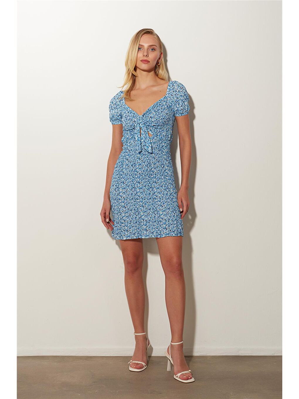 Sherin Mavi Büzgülü Desenli Mini Elbise SS23D4795MA