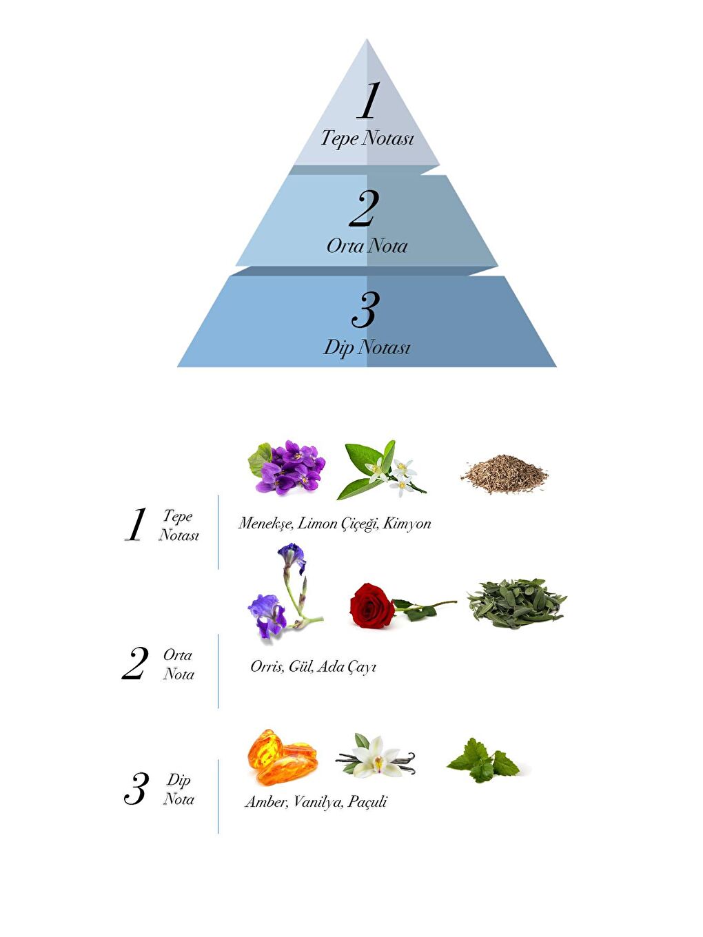 EDT Erkek Parfüm 100 ml ve Deodorant 150 ml 2 Adet-1