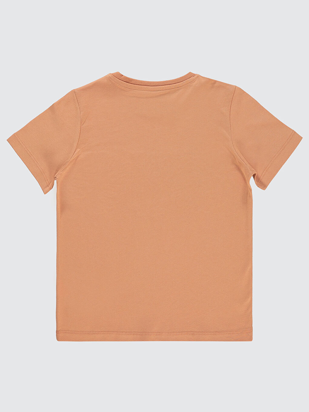 Kahverengi Boys Erkek Çocuk Tişört 10-13 Yaş Kiremit-1