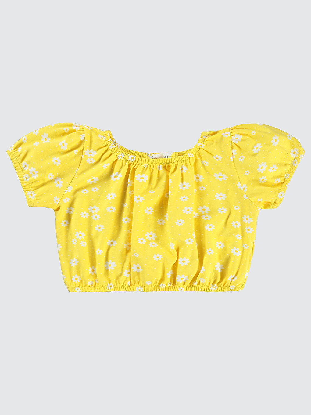 Sarı Girls Kız Çocuk Crop Tişört 2-5 Yaş Ananas