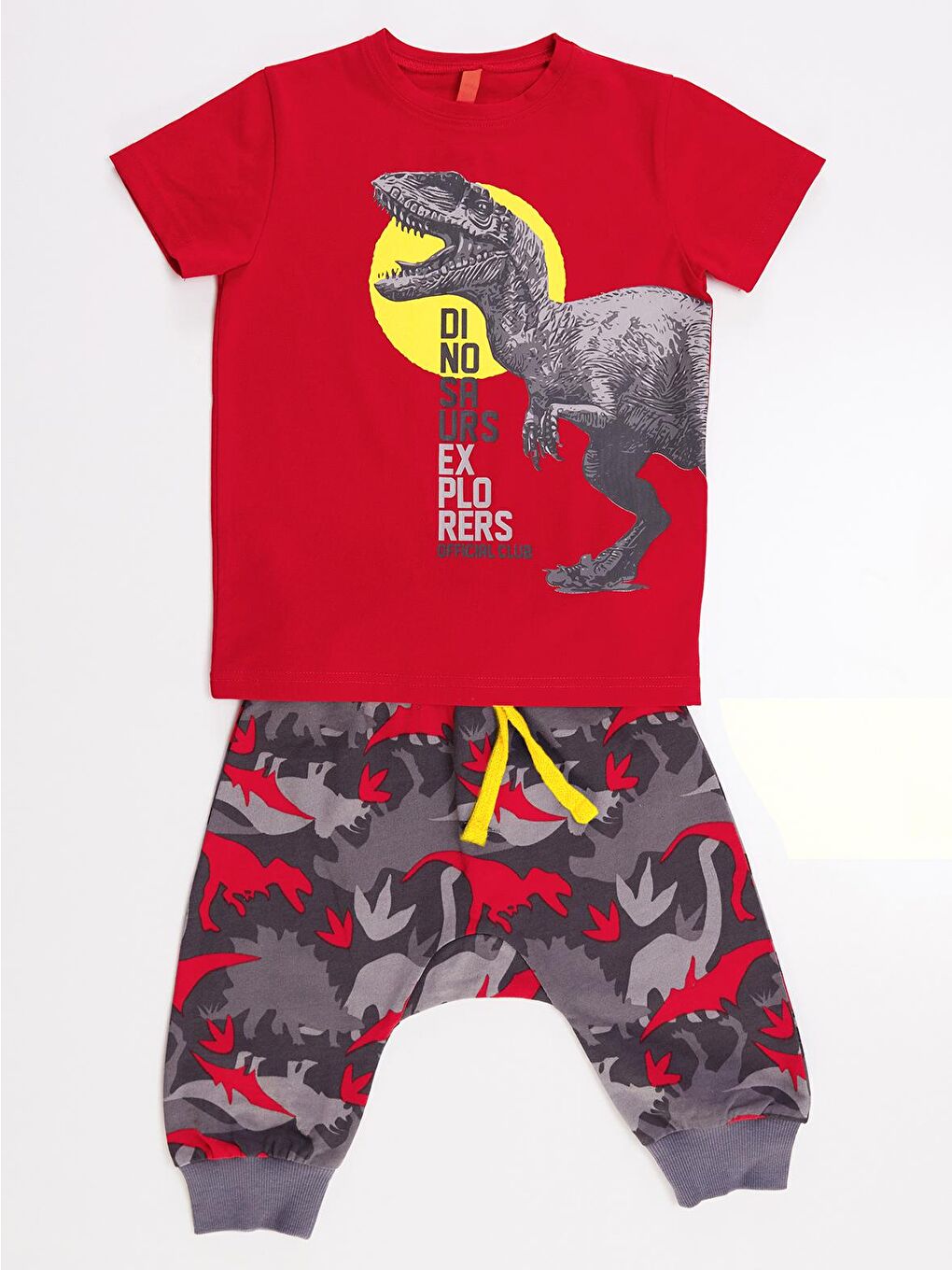 Denokids Karışık Dino Kamuflaj Erkek Çocuk T-shirt Şort Takım - 2