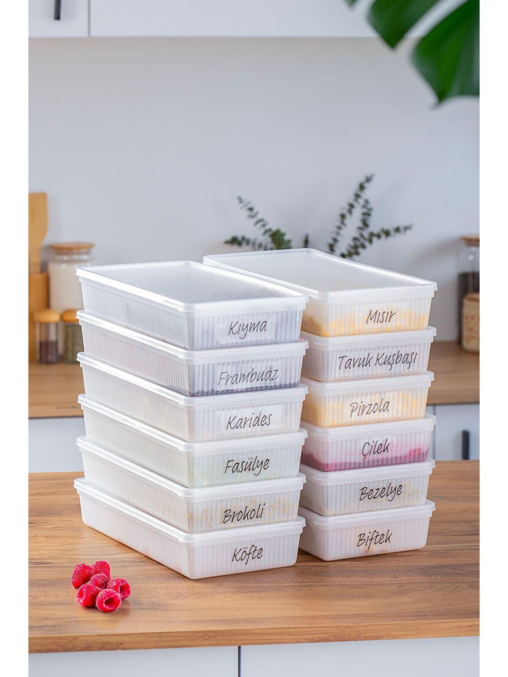 Renksiz 1106 12li Erzak Çok Amaçlı Bakliyat- Still Box Buzluk Derin Dondurucu Saklama Kabı 2 L-2