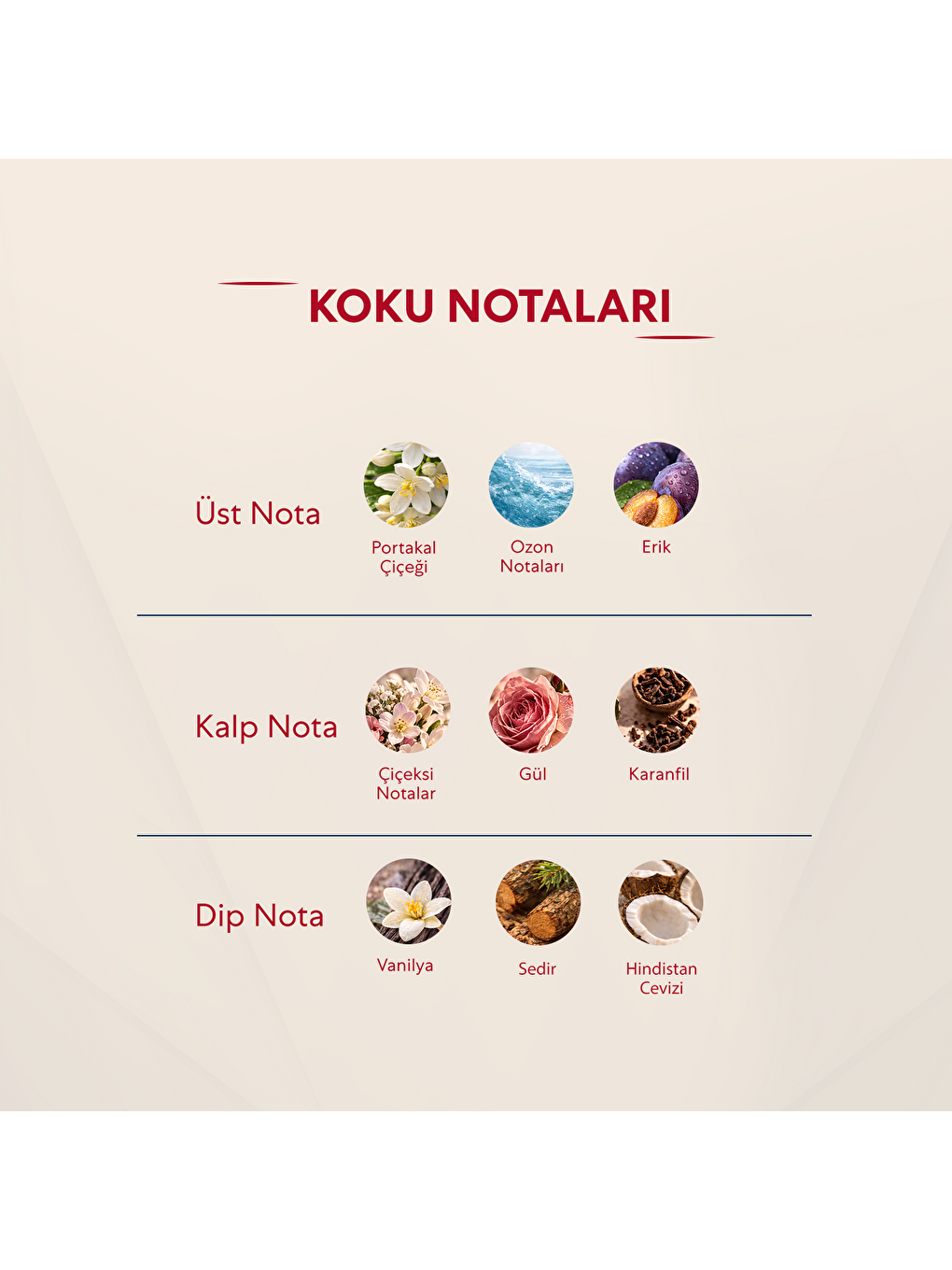 Kadın Parfüm Çiçeksi 50ml No:163-2