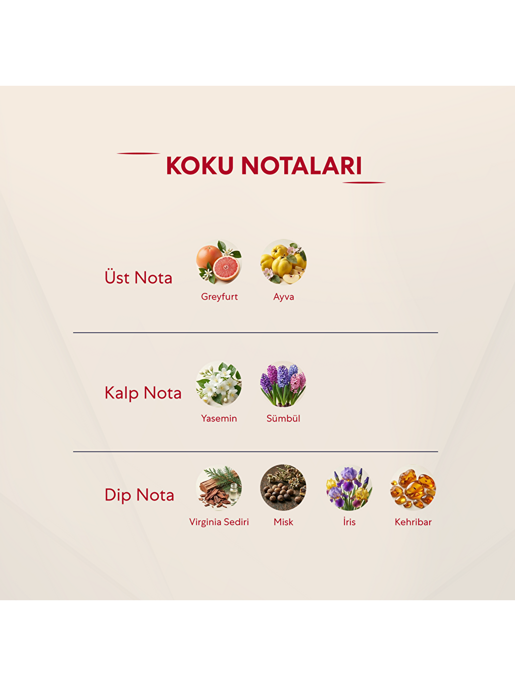 137 Kadın 50ml Parfüm Edp Floral-2