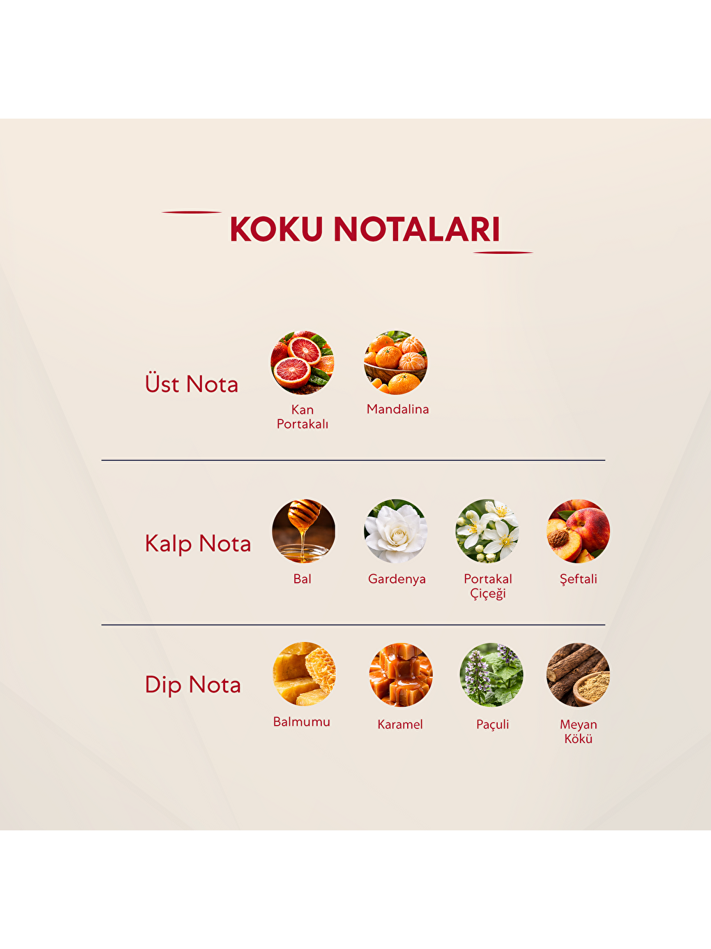 217 Kadin 50 Ml Parfüm Edp Floral-2