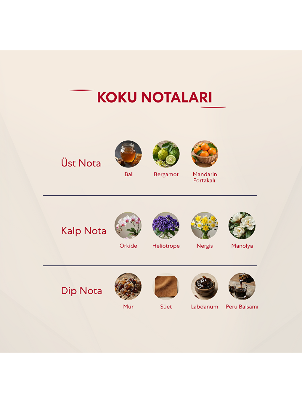 Kadın Parfüm Oryantal - 50ml Edp No:202-2