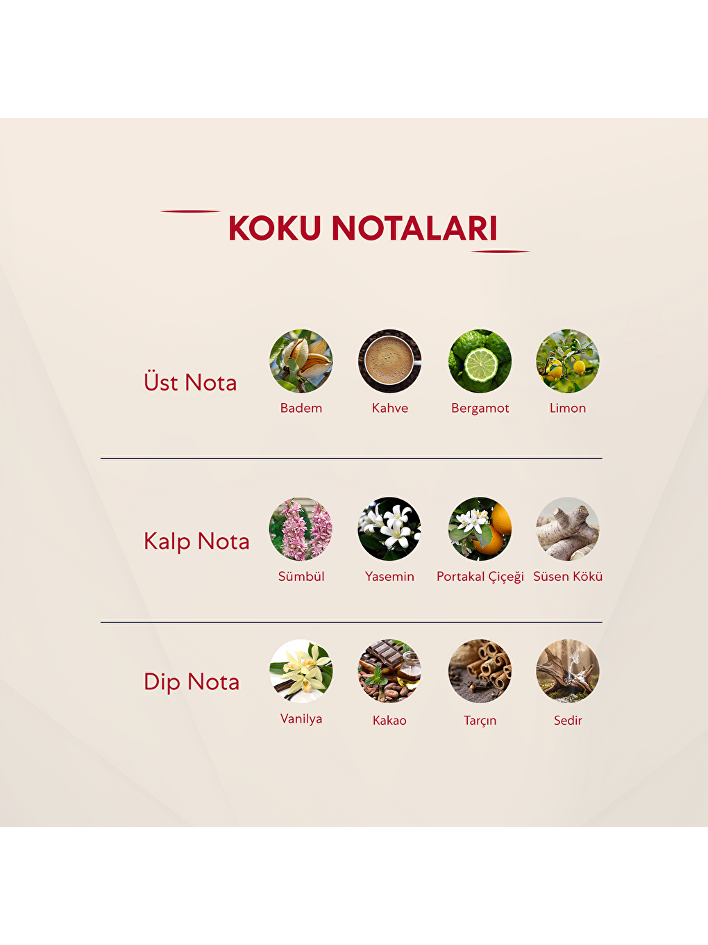 Kadın Parfüm Oriental - 50ml Edp No:324-2