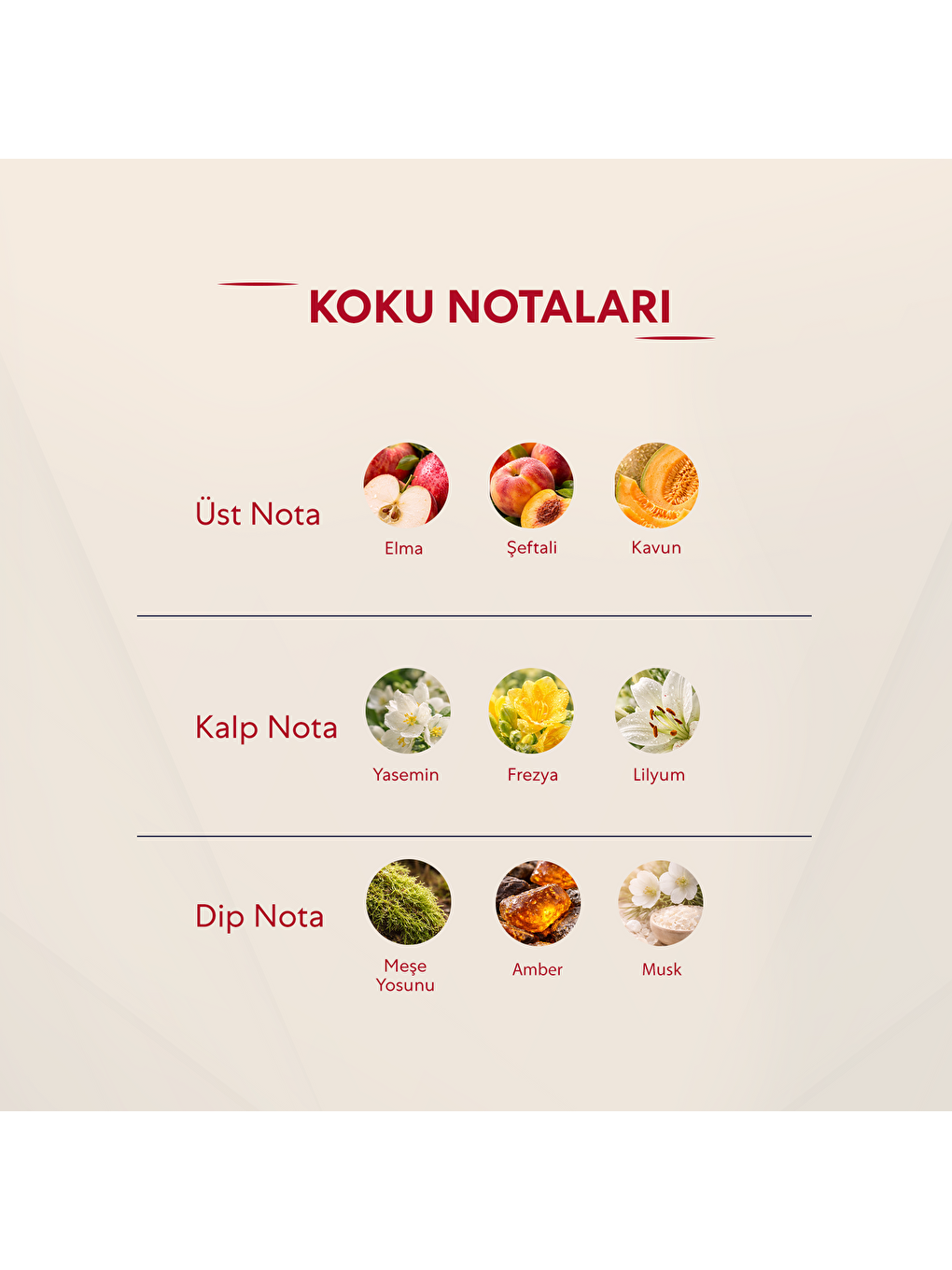 Kadın Parfüm Çiçeksi 50ml No:174-1