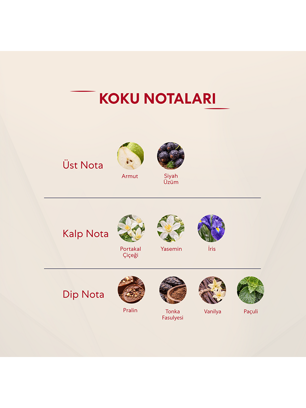 Kadın Çiçeksi Parfüm 50ml No:171-2