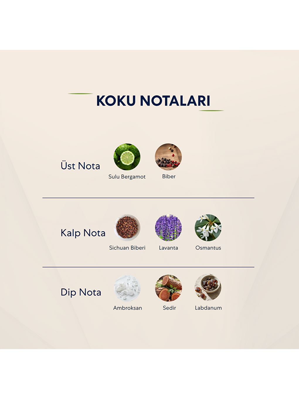 Erkek Parfüm Fresh 50ml No:567-2